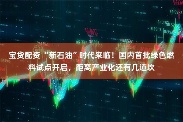宝货配资 “新石油”时代来临！国内首批绿色燃料试点开启，距离产业化还有几道坎