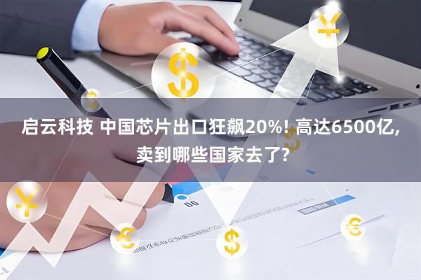 启云科技 中国芯片出口狂飙20%! 高达6500亿, 卖到哪些国家去了?