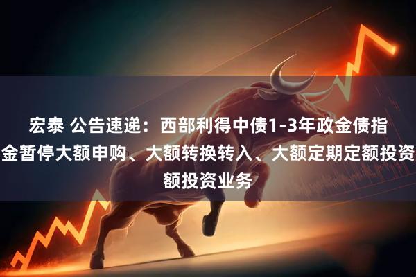 宏泰 公告速递：西部利得中债1-3年政金债指数基金暂停大额申购、大额转换转入、大额定期定额投资业务