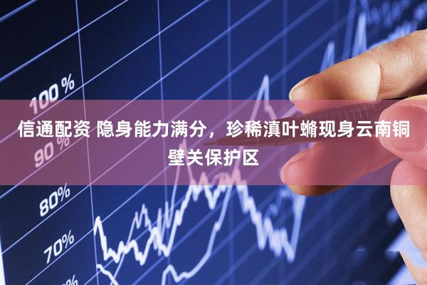 信通配资 隐身能力满分，珍稀滇叶䗛现身云南铜壁关保护区