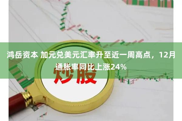 鸿岳资本 加元兑美元汇率升至近一周高点，12月通胀率同比上涨24%
